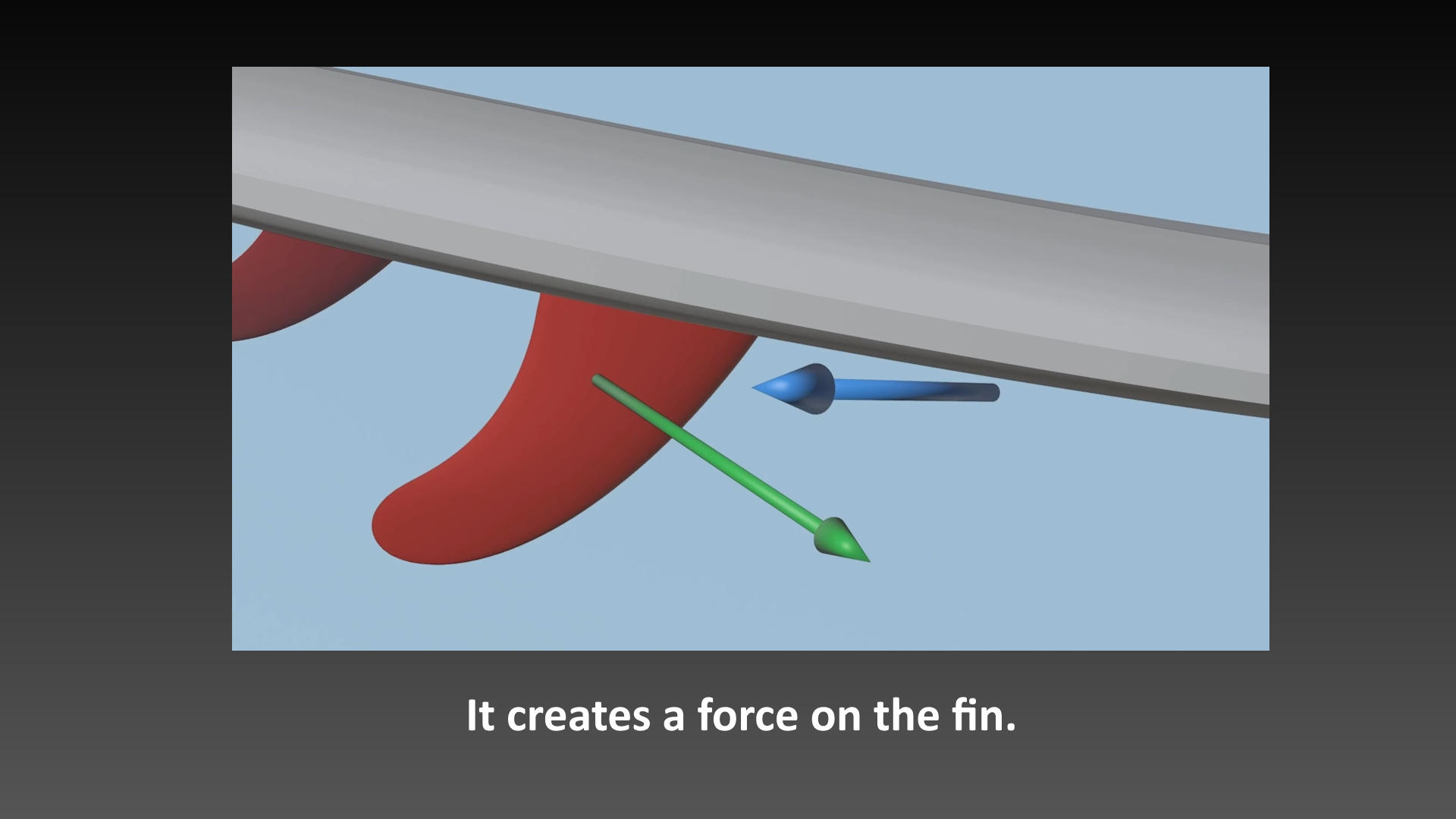Fins-explained-basics-30