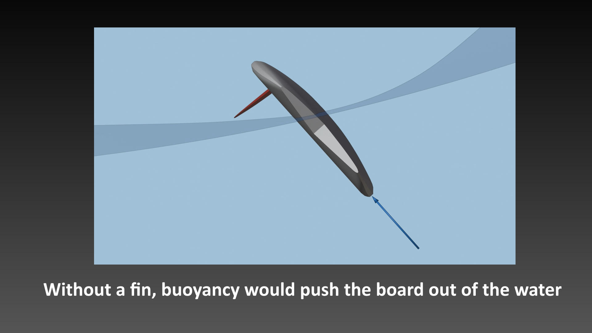Fins-explained-basics-70